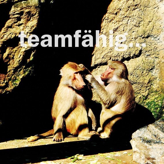 Teamfähig